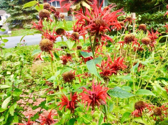 4050B84B-B7C4-4EE9-95D6-39D8820836EE