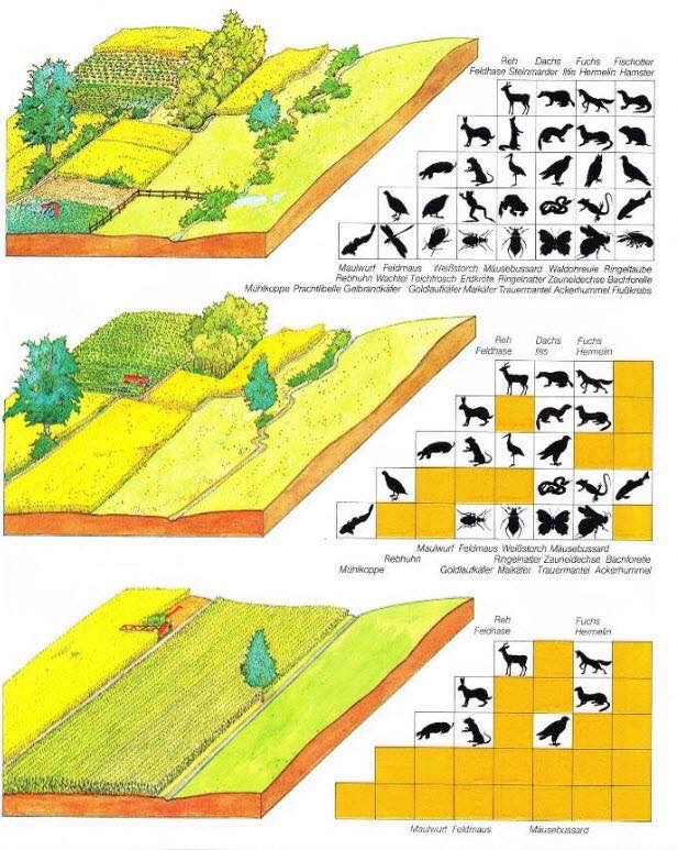 6C9C18B3-932F-4104-A4A7-0D5488B5910F