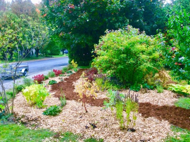 D52F8B74-0699-405F-B5E7-12C777CB4AEA