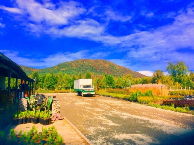 DE2C1BFE-15DB-42E7-B3E2-BC18876A3425